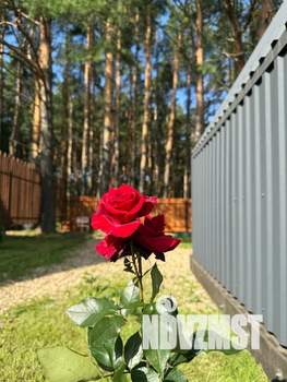 Дом 80м², 2-этажный, посуточно,