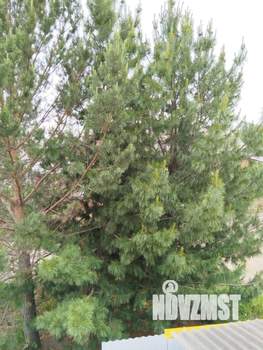 Коттедж 98м², 2-этажный, участок 5 сот.