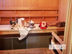 Дом 120м&sup2;, 1-этажный, посуточно, 