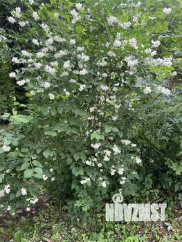 Дом 50м², 1-этажный, на длительный срок, 