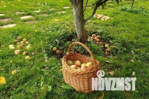 Дом 150м&sup2;, 2-этажный, посуточно, 