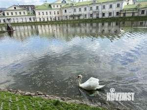 Дом 50м², 1-этажный, на длительный срок, 