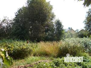 Дом 57м&sup2;, 1-этажный, участок 24 сот.  