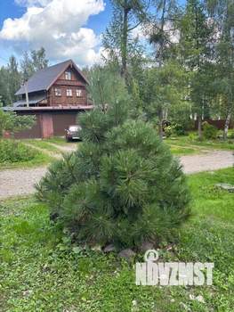 Дом 200м&sup2;, 2-этажный, участок 9 сот.  