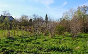 Дом 54м&sup2;, 1-этажный, участок 11 сот.  