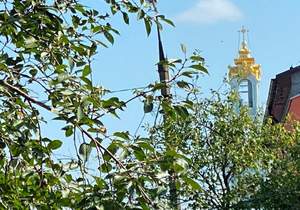 Дом 60м², 1-этажный, участок 12 сот.  