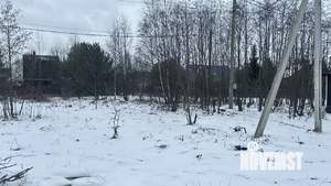 Дом 55м², 2-этажный, участок 8 сот.  