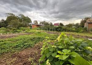 Дом 50м&sup2;, 1-этажный, участок 13 сот.  