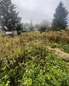 Дом 60м&sup2;, 2-этажный, участок 5 сот.  