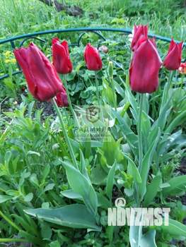 Дом 63м², 1-этажный, участок 10 сот.  