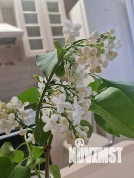 1-к квартира, на длительный срок, 46м2, 7/17 этаж