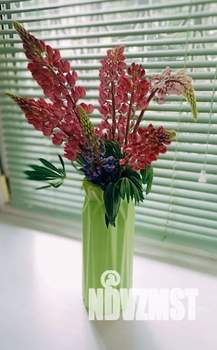 Студия квартира, посуточно, 46м2, 1/5 этаж