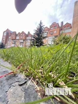 2-к квартира, на длительный срок, 55м2, 2/6 этаж