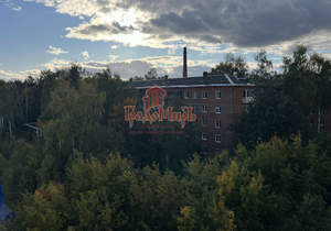 1-к квартира, вторичка, 48м2, 7/17 этаж