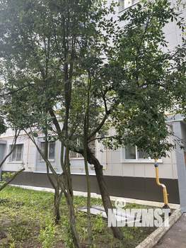 1-к квартира, вторичка, 32м2, 2/5 этаж
