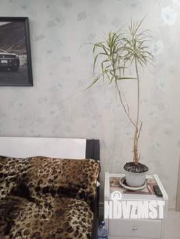 2-к квартира, вторичка, 45м2, 1/2 этаж