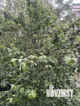 4-к квартира, вторичка, 60м2, 2/5 этаж